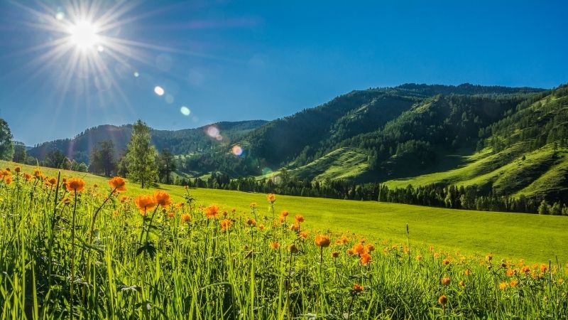 Hình ảnh đăng kèm STT tạm biệt tháng 6 - 2