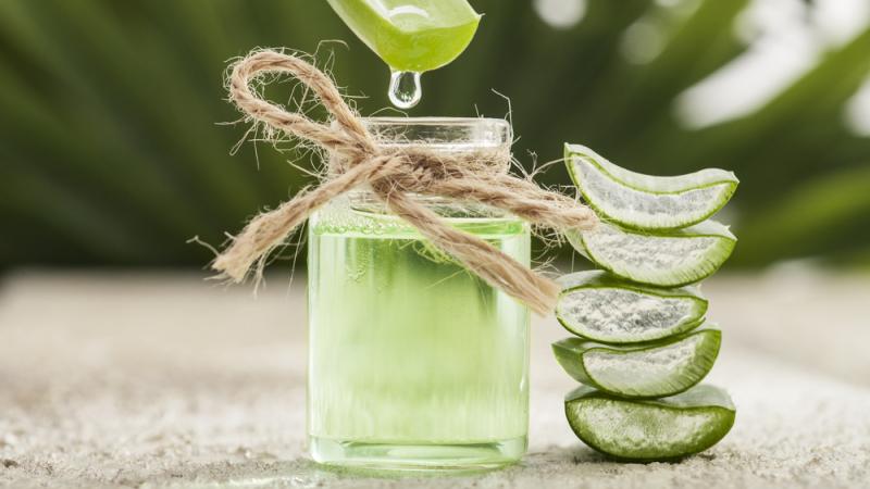 Tác dụng của nước yến nha đam Tingco