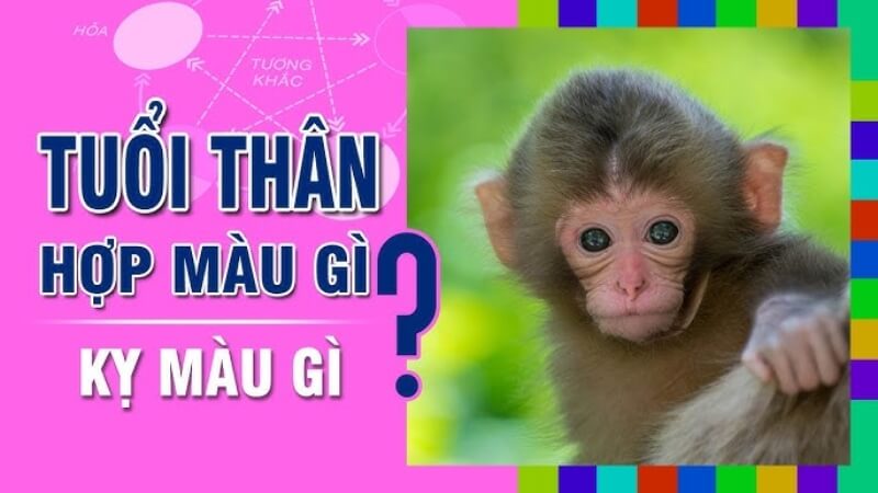 Câu hỏi thường gặp
