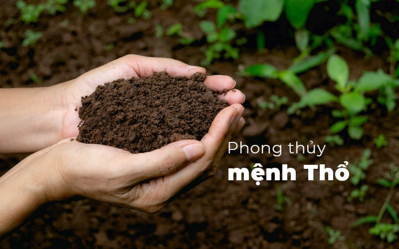 Tuổi Bính Thìn 1976 mệnh Thổ hợp màu gì?