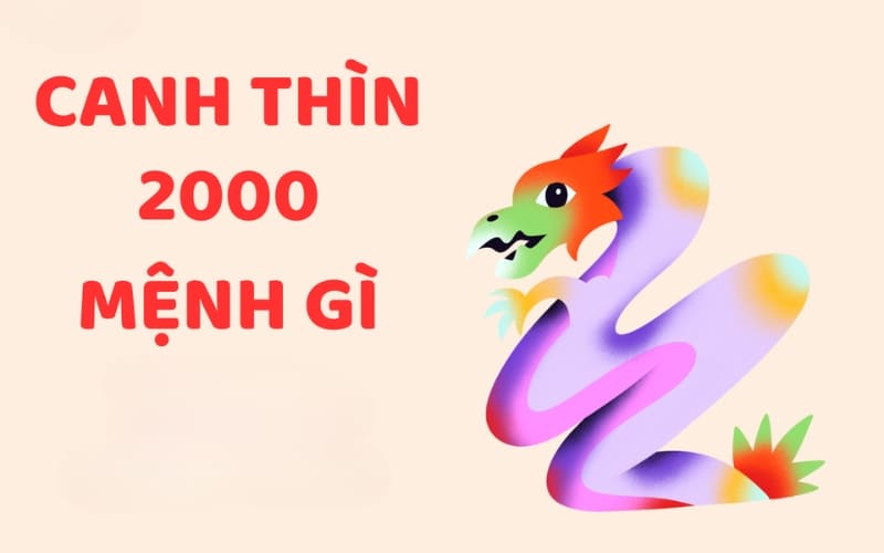 Nữ Canh Thìn 2000 mang mệnh Bạch Lạp Kim.