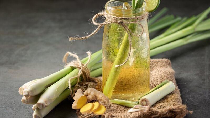 Uống nước gừng sả có tác dụng gì?