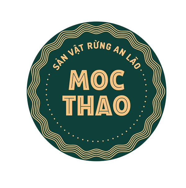 HỘ KINH DOANH MỘC THẢO BÌNH ĐỊNH