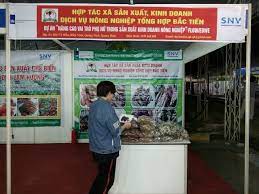 HTX sản xuất, kinh doanh dịch vụ nông nghiệp tổng hợp Bắc Tiến