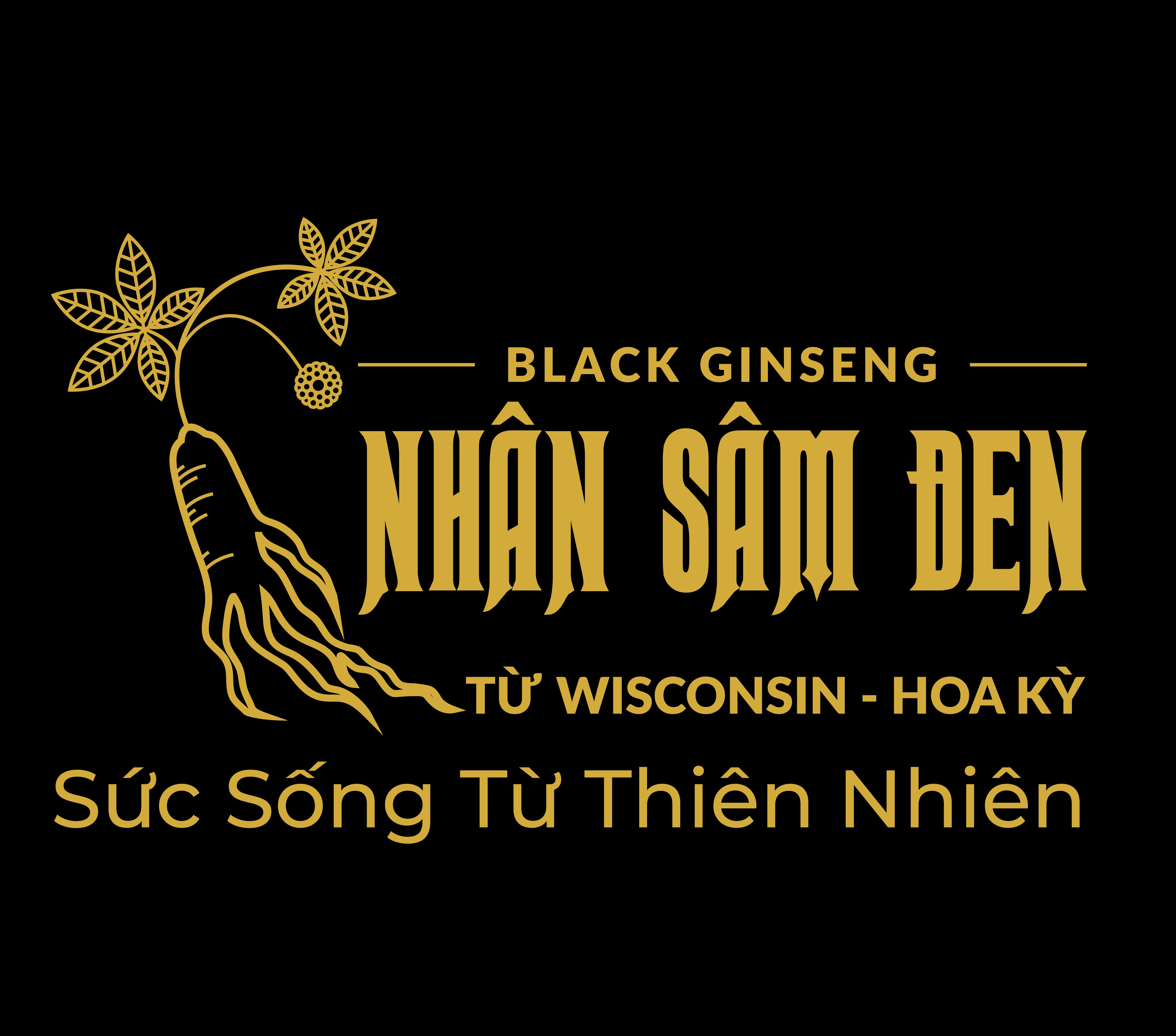 Công ty TNHH Sản Xuất Thương Mại Dịch Vụ V.E.V