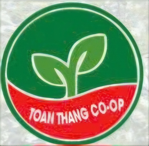 HTX DVNN tổng hợp Toàn Thắng