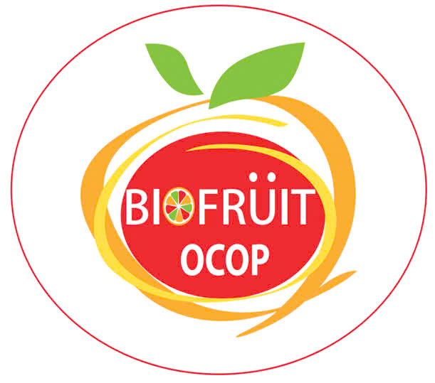 HỢP TÁC XÃ TRÁI CÂY SINH HỌC OCOP