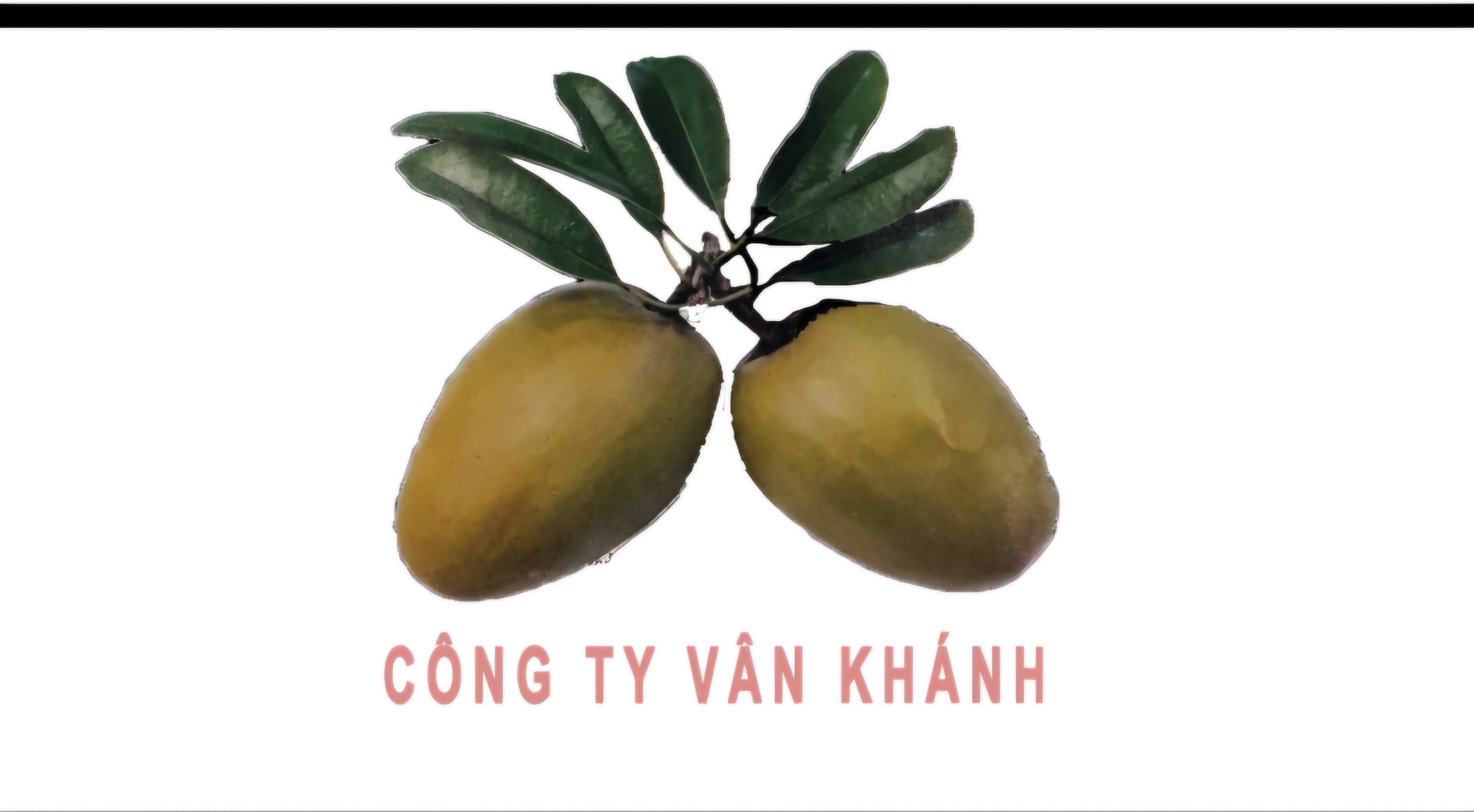 CÔNG TY TNHH MTV NÔNG SẢN VÂN KHÁNH