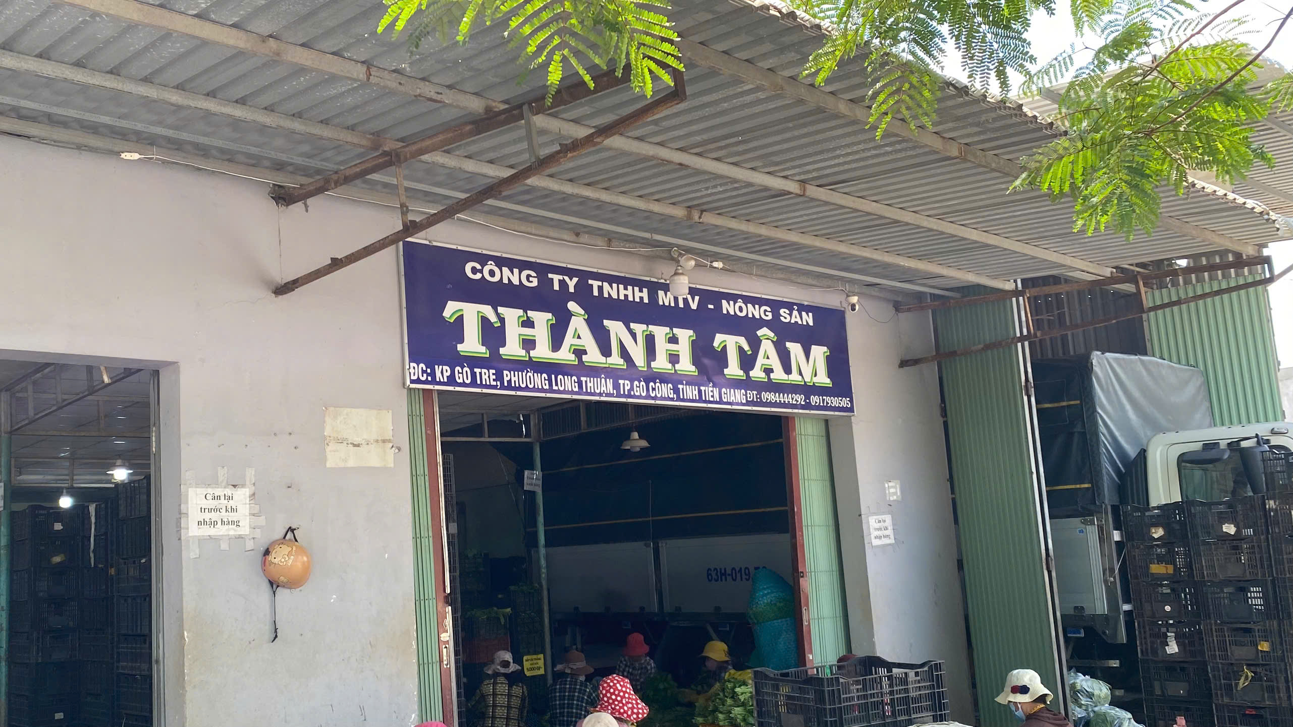 CÔNG TY TRÁCH NHIỆM HỮU HẠN MỘT THÀNH VIÊN NÔNG SẢN THÀNH TÂM