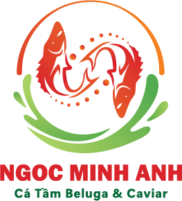 CÔNG TY TNHH CÁ TẦM BELUGA  CAVIAR NGỌC MINH ANH