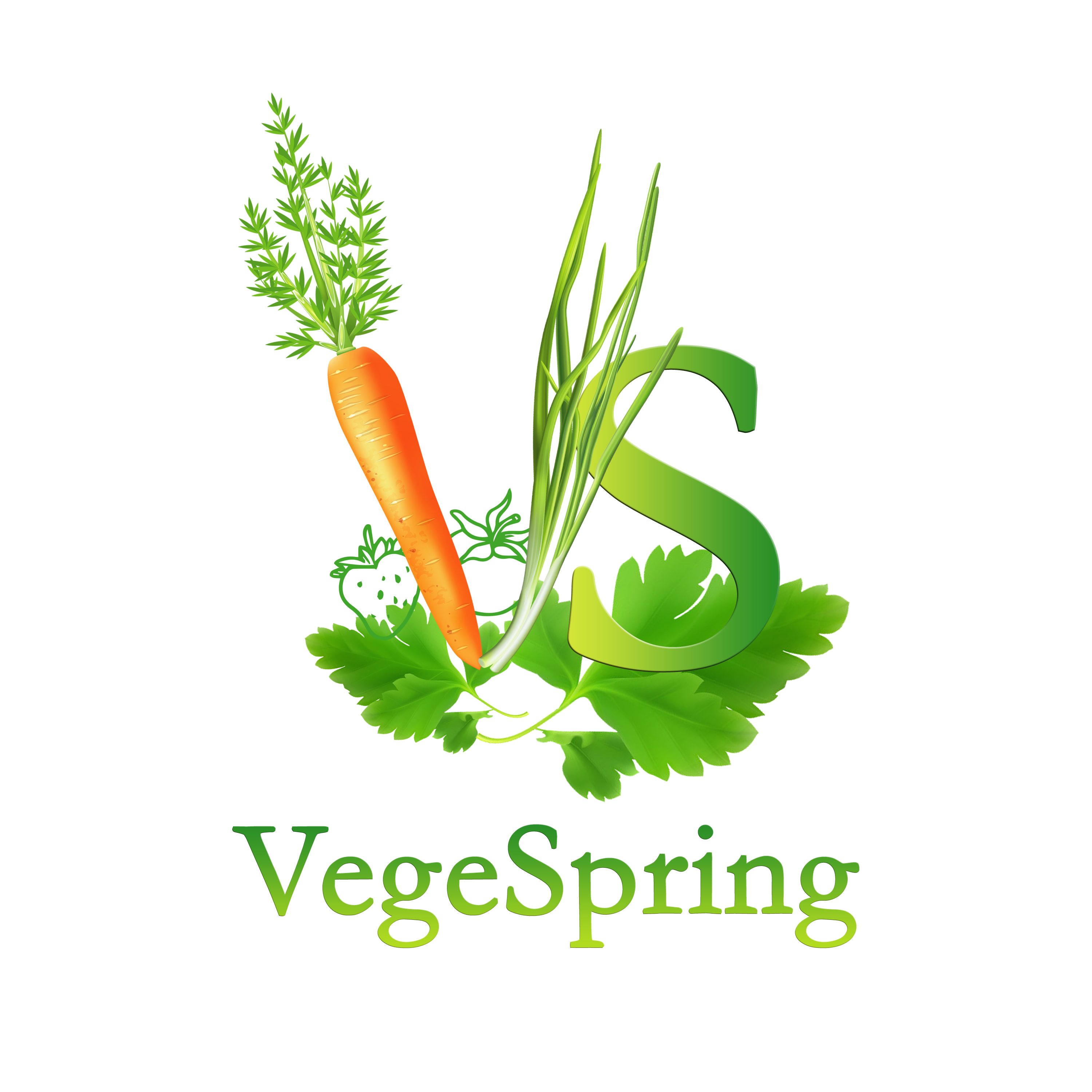 CÔNG TY TNHH VEGESPRING