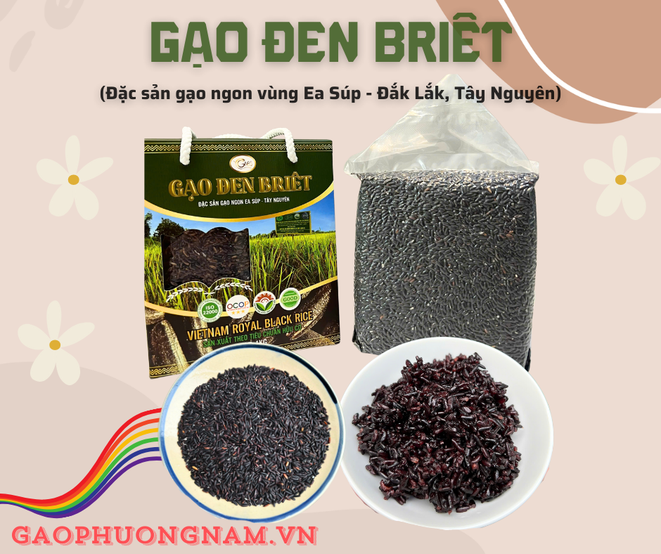 Gạo lứt đen Briêt hữu cơ - Hộp 1kg