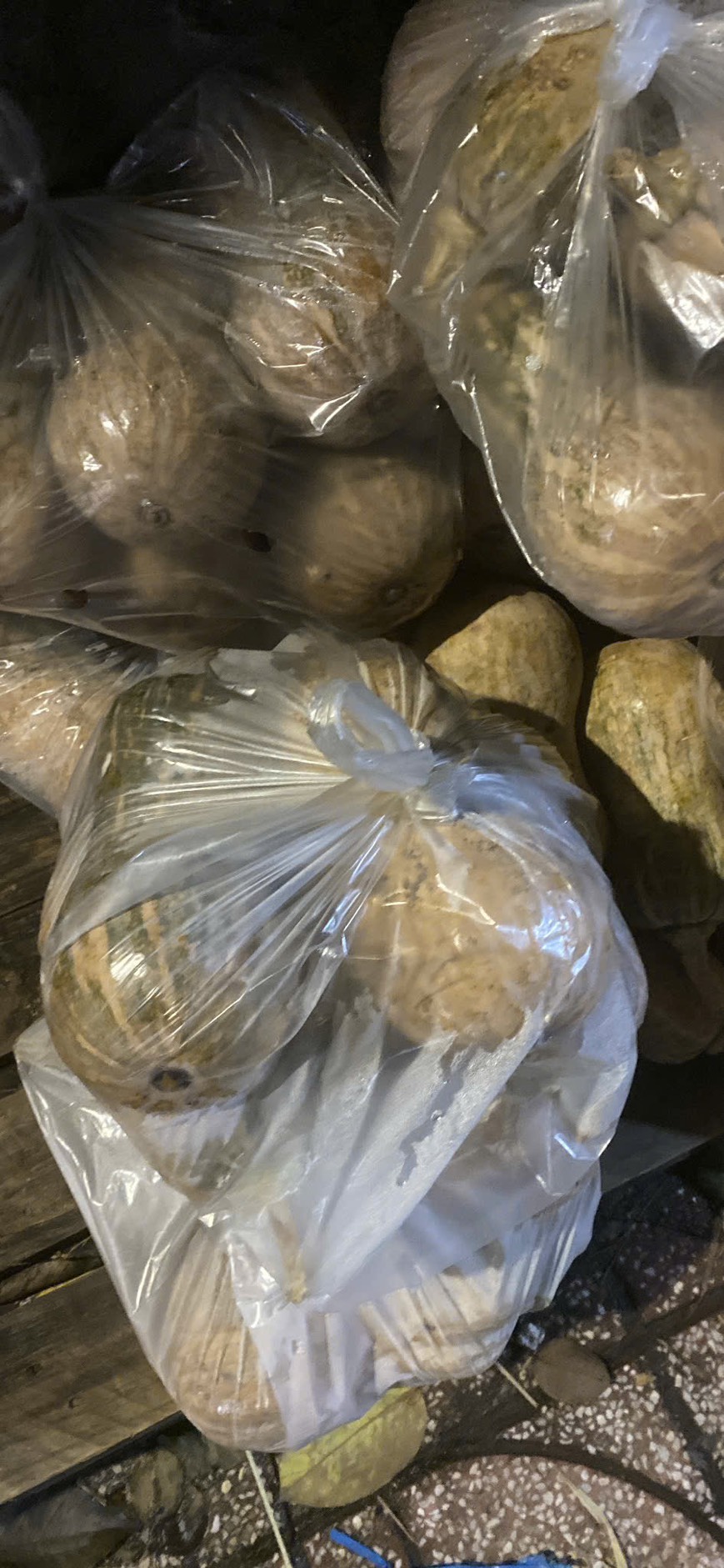 BÍ ĐỎ HỒ LÔ (KG)