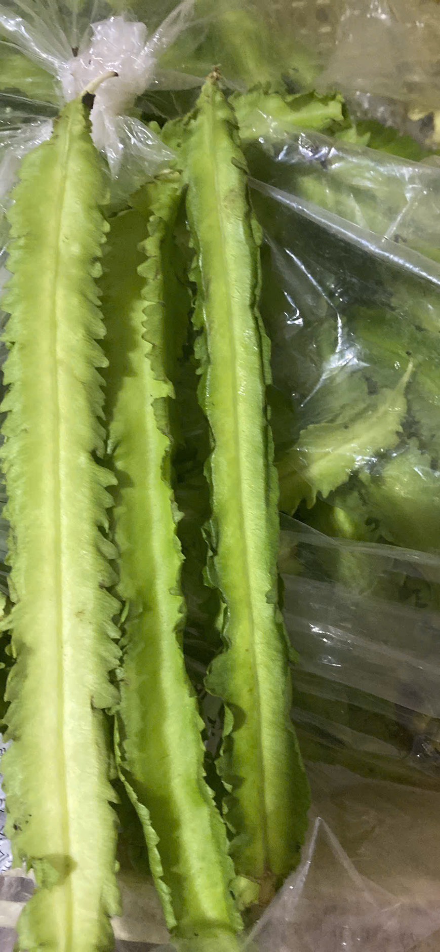 ĐẬU RỒNG VỈ 200G