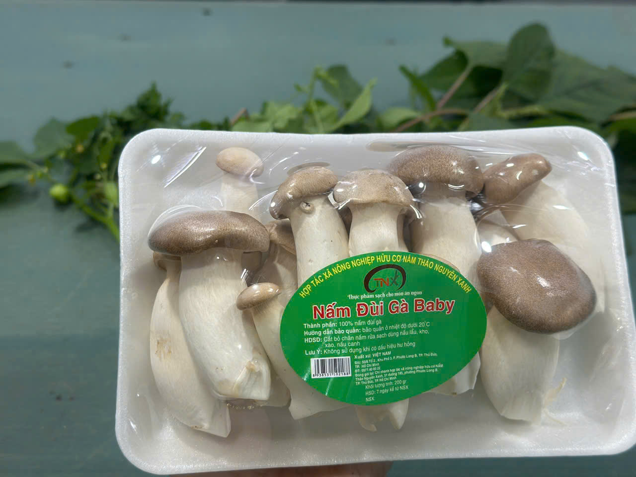 Nấm Đùi Gà Baby