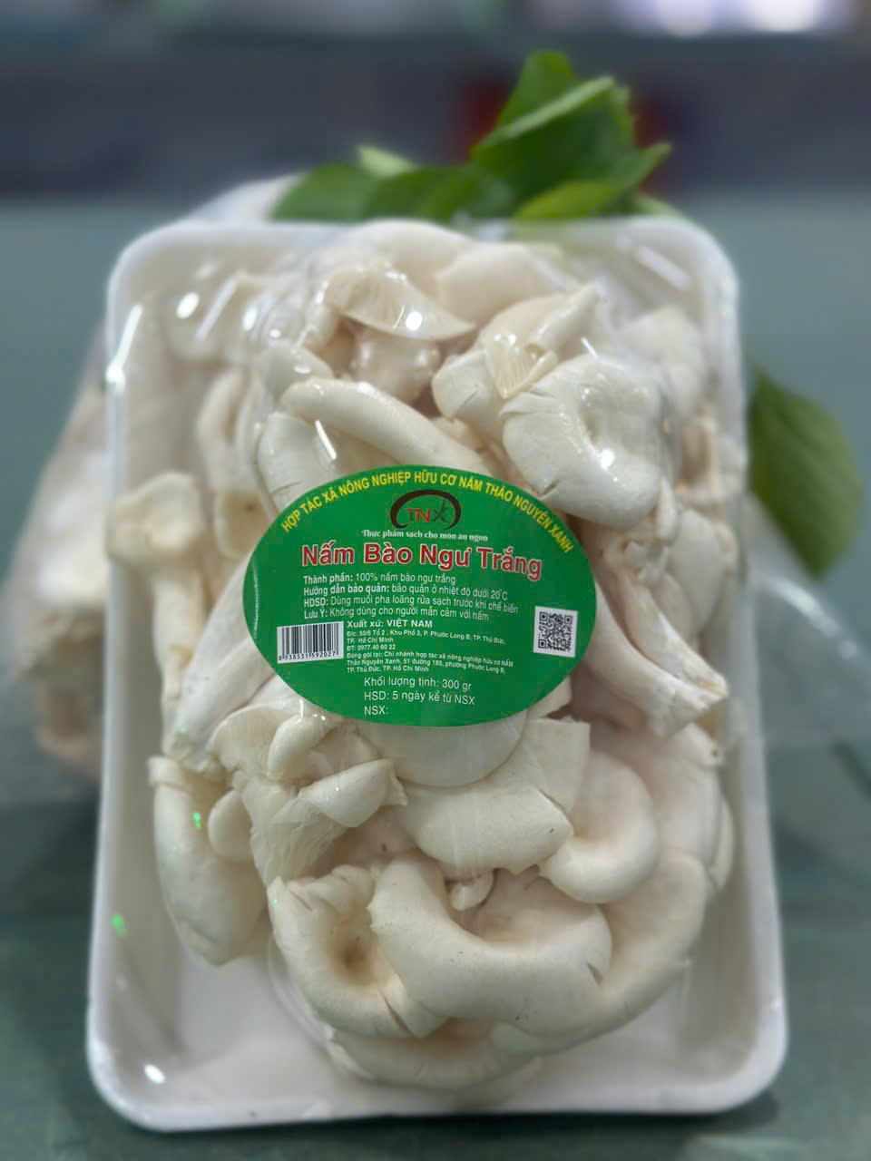 Nấm Bào Ngư Trắng