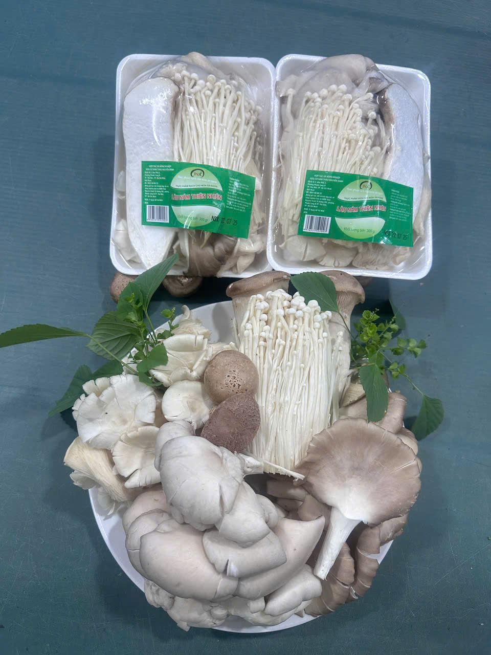 Lẩu Nấm Thiên Nhiên