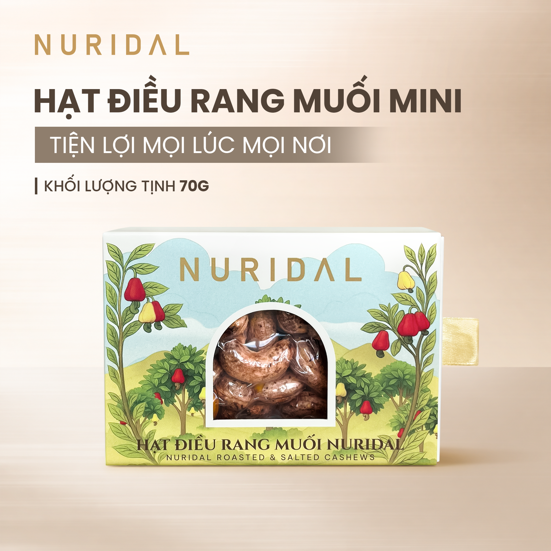 HẠT ĐIỀU RANG MUỐI NURIDAL 70 G