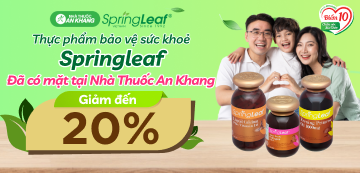 Banner đầu bài tin - Springleaf T11