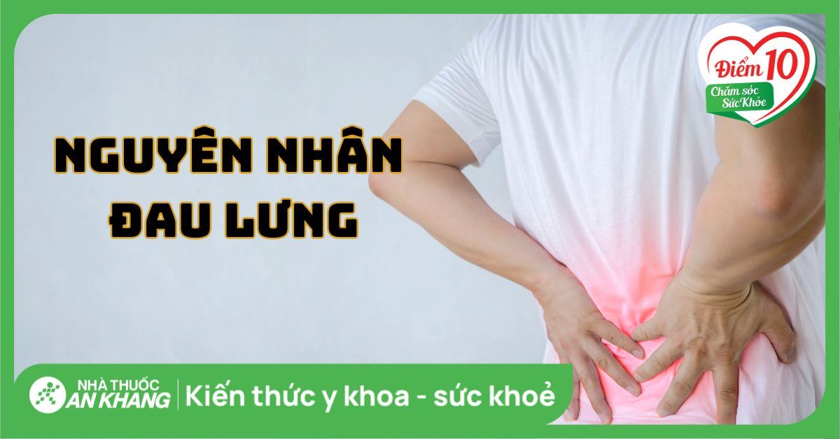 Đau lưng: các vị trí đau báo hiệu bệnh, nguyên nhân đau lưng cần lưu ý