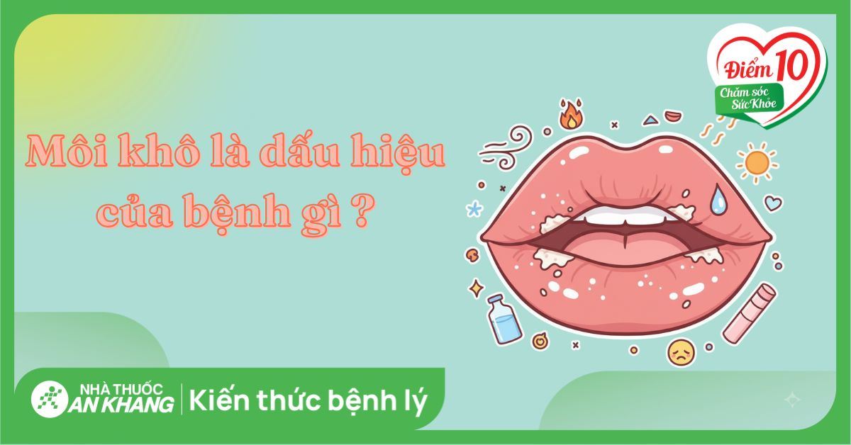 Môi khô là dấu hiệu của bệnh gì? Nguyên nhân và cách điều trị