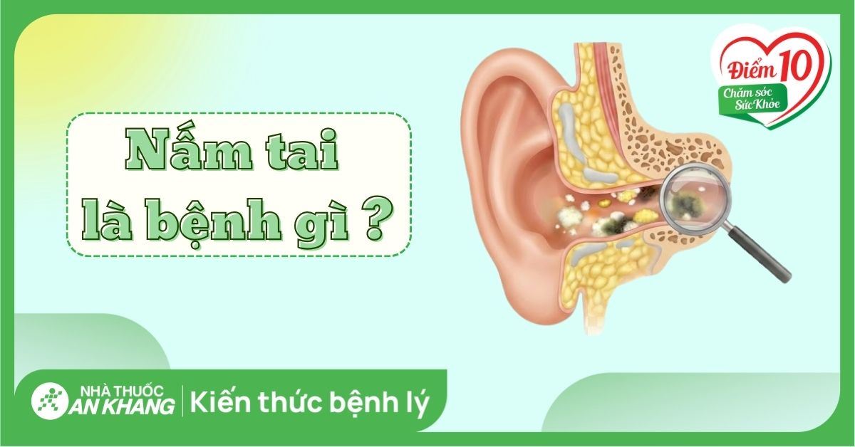 Nấm tai: Nguyên nhân, triệu chứng và cách điều trị hiệu quả