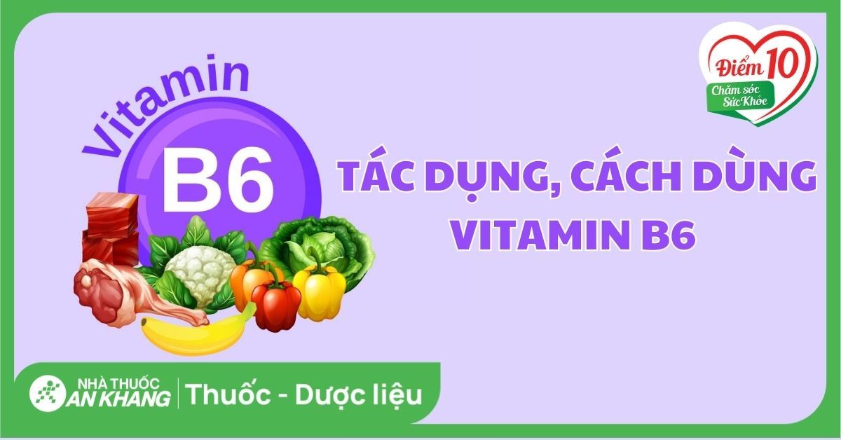 D u d a c t c d ng g 5 c ng d ng c a d u d a v l u khi s d ng