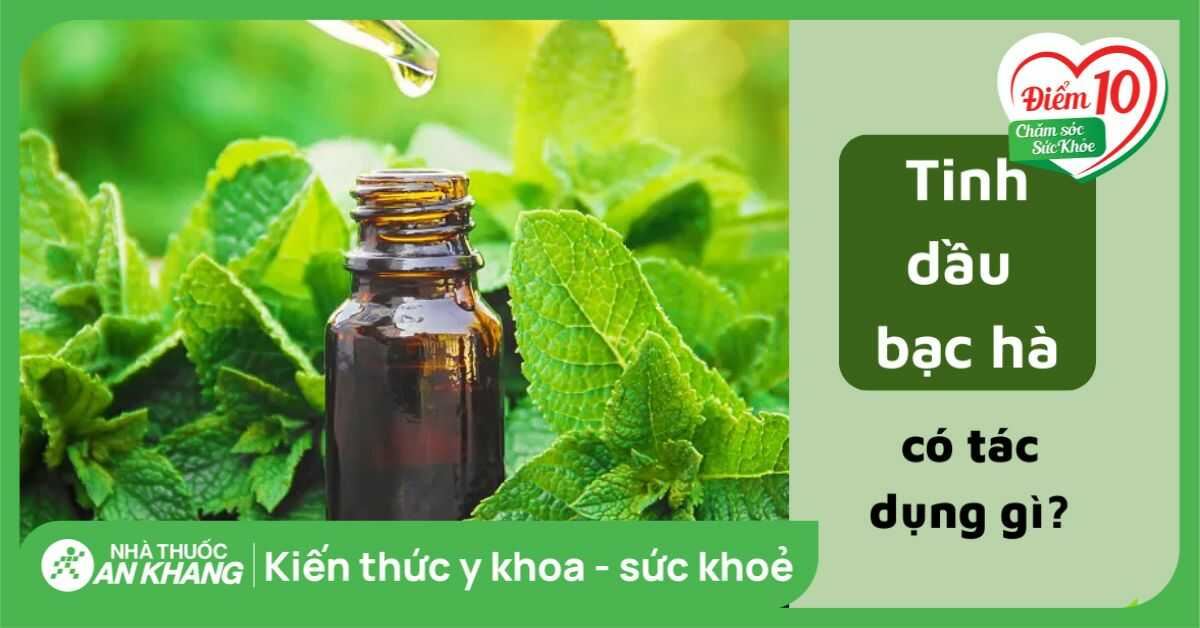 Bạc hà có tác dụng gì? 9 công dụng của bạc hà trong chữa bệnh