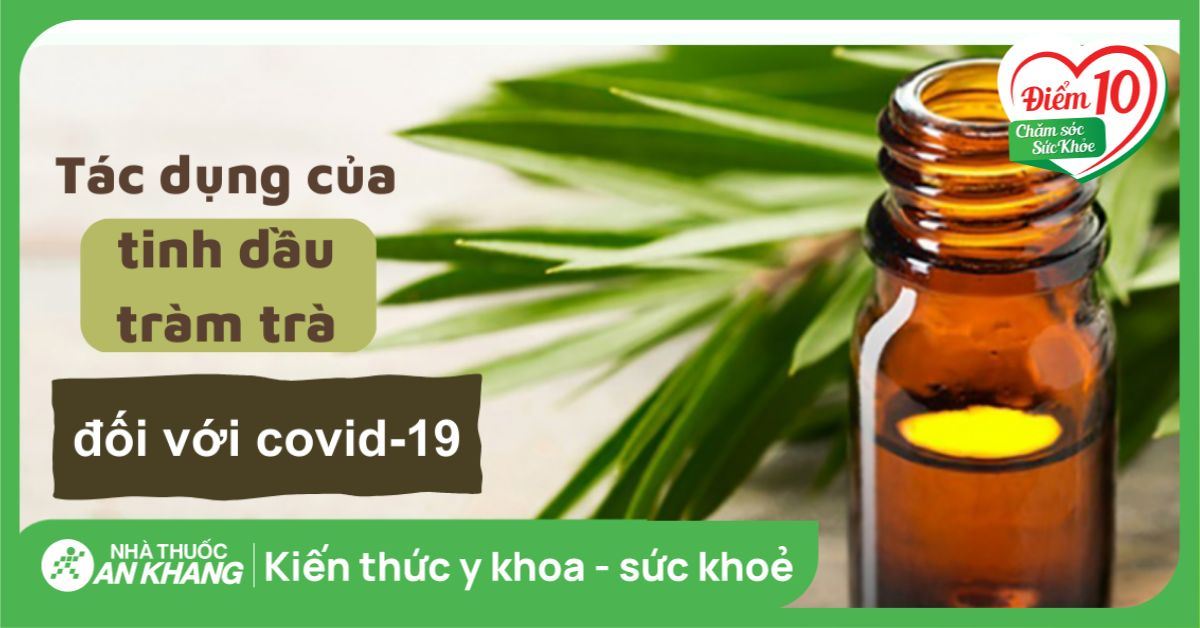 Tinh dầu tràm có tác dụng gì đối với covid-19?