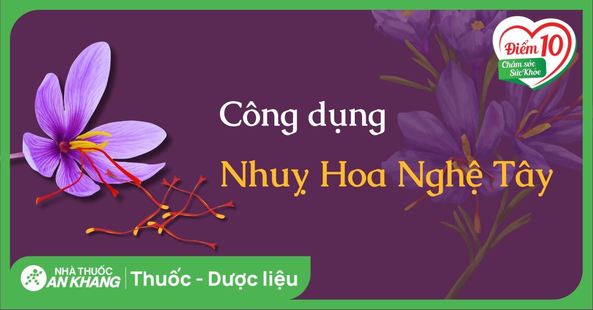 11 lợi ích của nhuỵ hoa nghệ tây, cách uống và lưu ý khi dùng