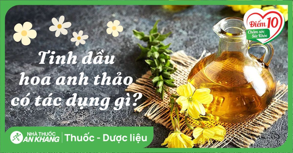 Tinh dầu hoa anh thảo: Tác dụng, cách dùng, lưu ý khi sử dụng