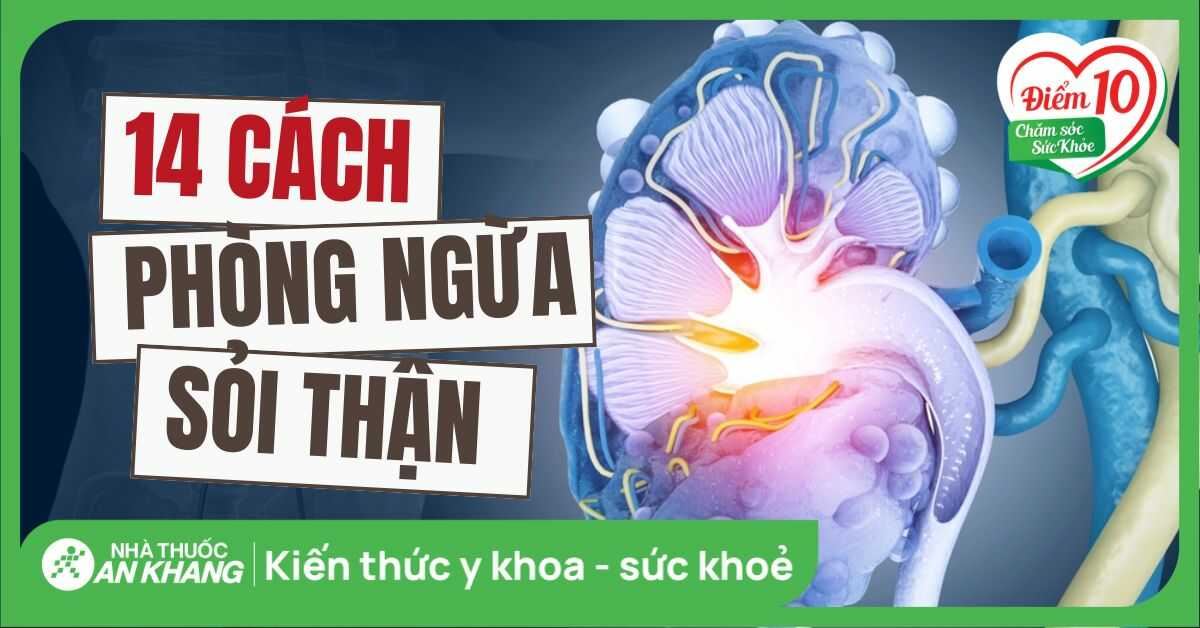14 cách phòng ngừa sỏi thận hiệu quả giúp bạn khỏe mạnh