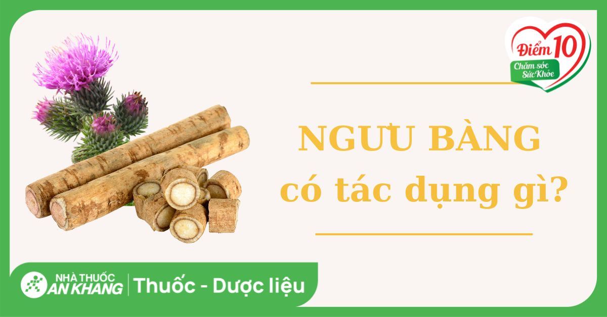 Ngưu bàng là gì? 8 công dụng, cách dùng và lưu ý khi sử dụng an toàn