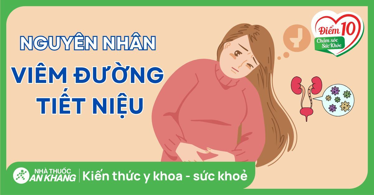 Nguyên nhân viêm đường tiết niệu và cách phòng ngừa hiệu quả