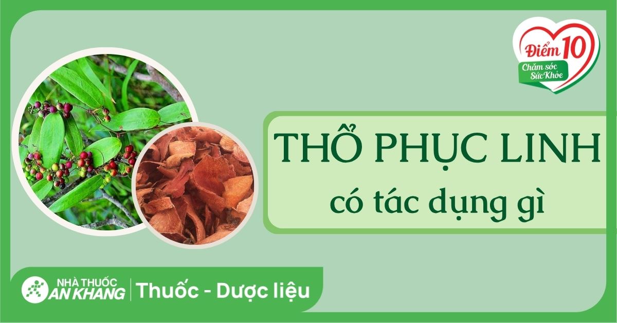 Thổ phục linh (củ khúc khắc) có tác dụng gì đối với sức khỏe?