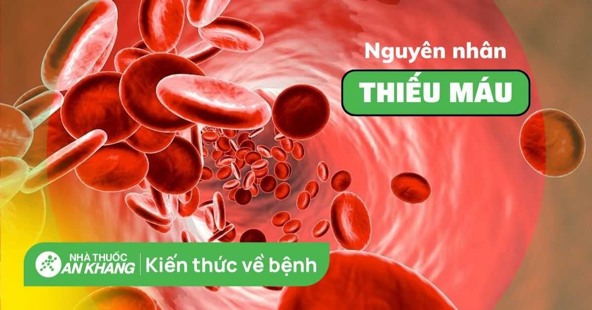9 nguyên nhân thiếu máu phổ biến, dễ mắc phải bạn nên biết