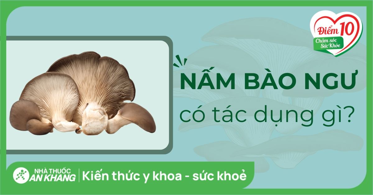 Nấm bào ngư là gì? 13 tác dụng của nấm bào ngư với sức khỏe