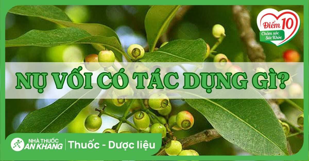 Nụ vối có tác dụng gì? 12 tác dụng của nụ vối và một số lưu ý
