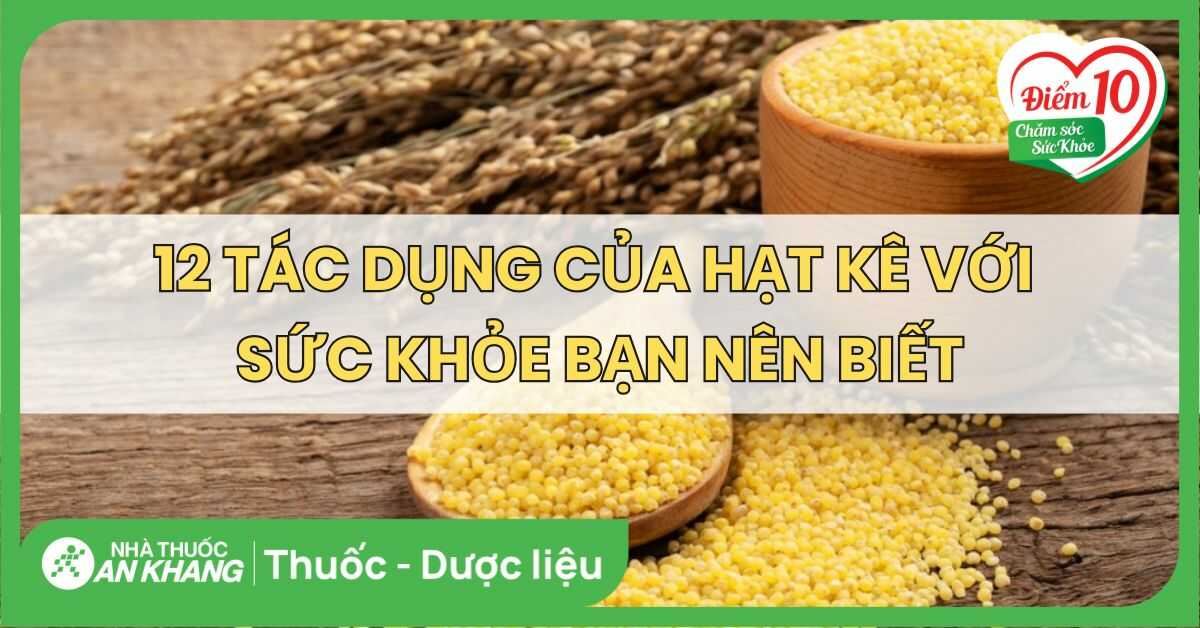 Tác dụng của hạt kê với sức khỏe bạn nên biết