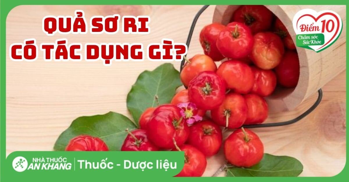 Quả sơ ri có tác dụng gì? 10 tác dụng của quả sơ ri với sức khỏe