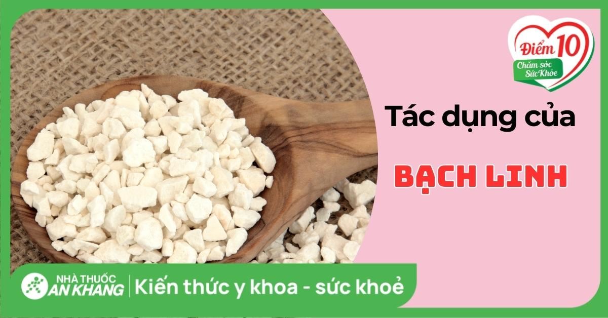 Bạch linh (bạch phục linh): 9 tác dụng và cách dùng đúng nhất