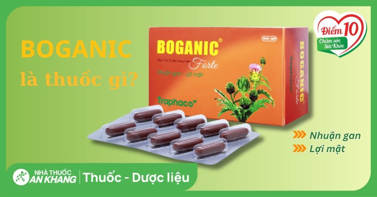 Boganic là thuốc gì? Hỗ trợ chức năng gan và hạ men gan