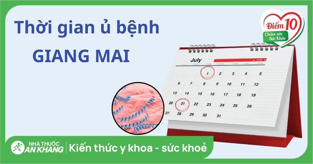 Thời gian ủ bệnh giang mai: Bao lâu thì xuất hiện triệu chứng?