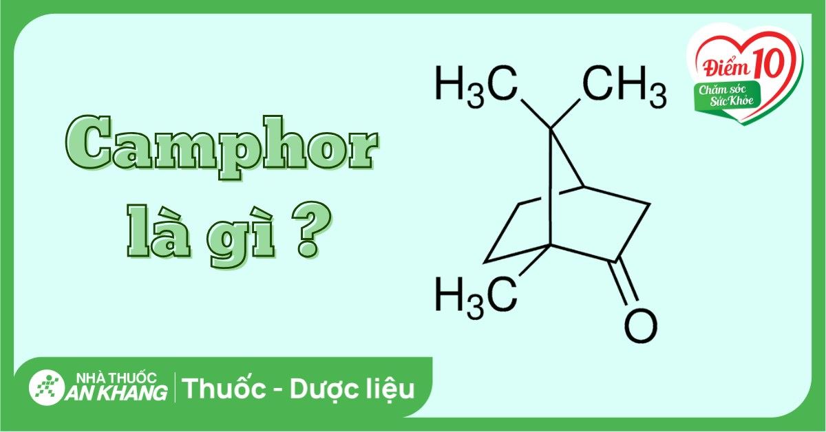 Camphor là gì? Công dụng, cách dùng và lưu ý khi sử dụng