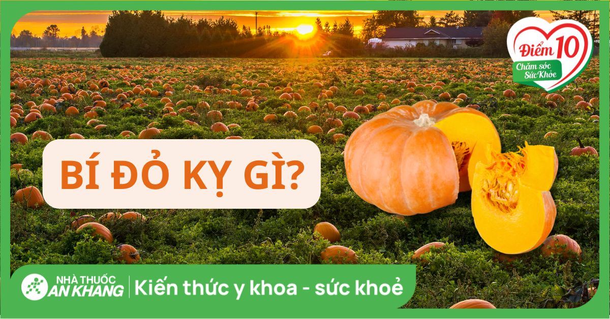 Bí đỏ kỵ gì? Thực phẩm nên tránh và cách ăn bí đỏ đúng cách