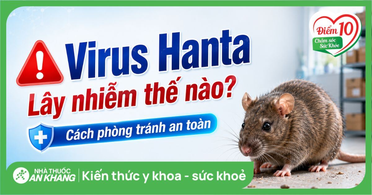 Virus Hanta lây nhiễm thế nào? Cách phòng tránh an toàn
