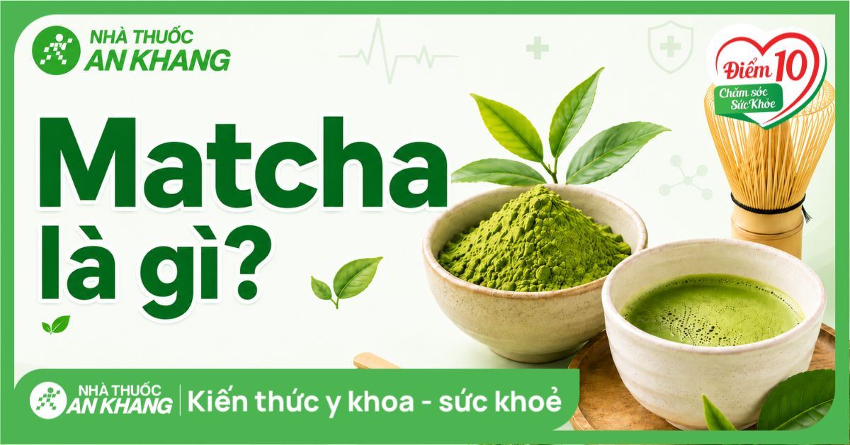 Matcha là gì? Tác dụng của matcha với sức khỏe