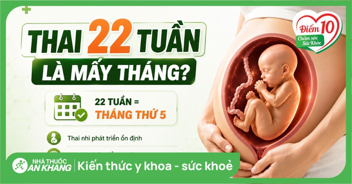 Thai 22 tuần là mấy tháng? Chỉ số phát triển và mốc siêu âm cần biết