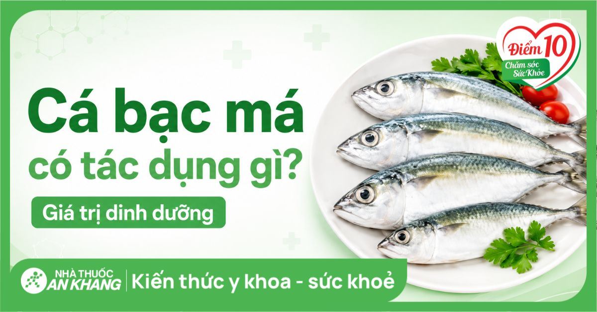 Cá bạc má có tác dụng gì? Giá trị dinh dưỡng và lợi ích sức khoẻ