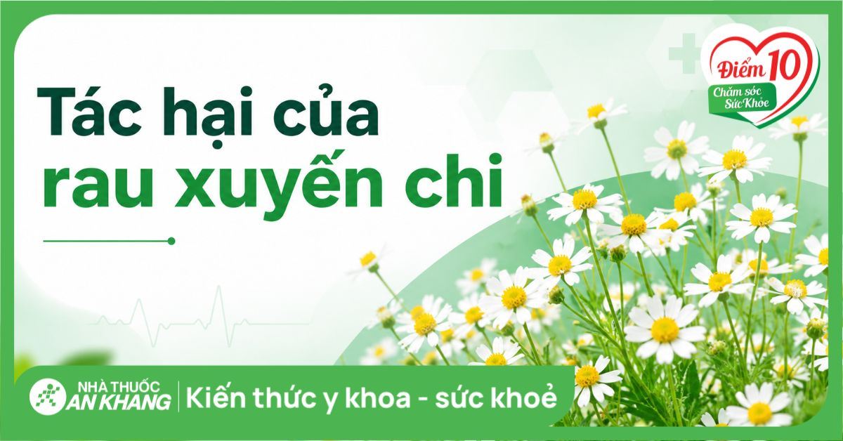 Tác hại của rau xuyến chi và những đối tượng cần thận trọng